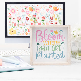 Bloom Where you are Planted Small Wooden Framed Canvas