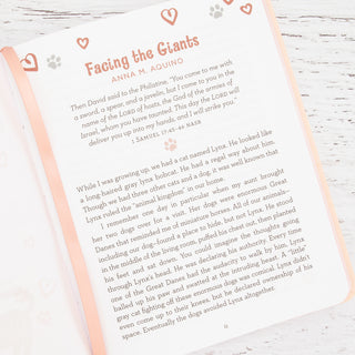 Devotional for Cat Lovers Everyday Inspiration & Encouragement