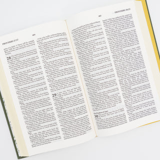 Holy Bible Beautiful Wisdom with Juniper Songbird NLV - Bennett Avenue Boutique