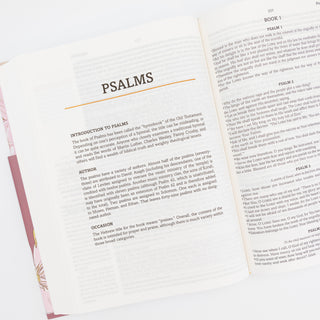 The Barbour Simplified KJV Mustard Seed Faith Devotional Bible - Bennett Avenue Boutique
