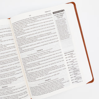 The Holy Bible The Barbour Simplified KJV Bible Promise Book Edition - Bennett Avenue Boutique