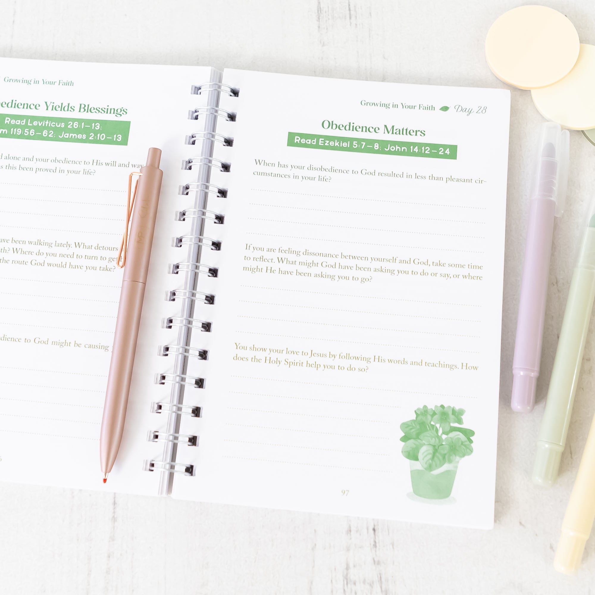 My Bible Study Journal 180 Devotional Studies for Women 