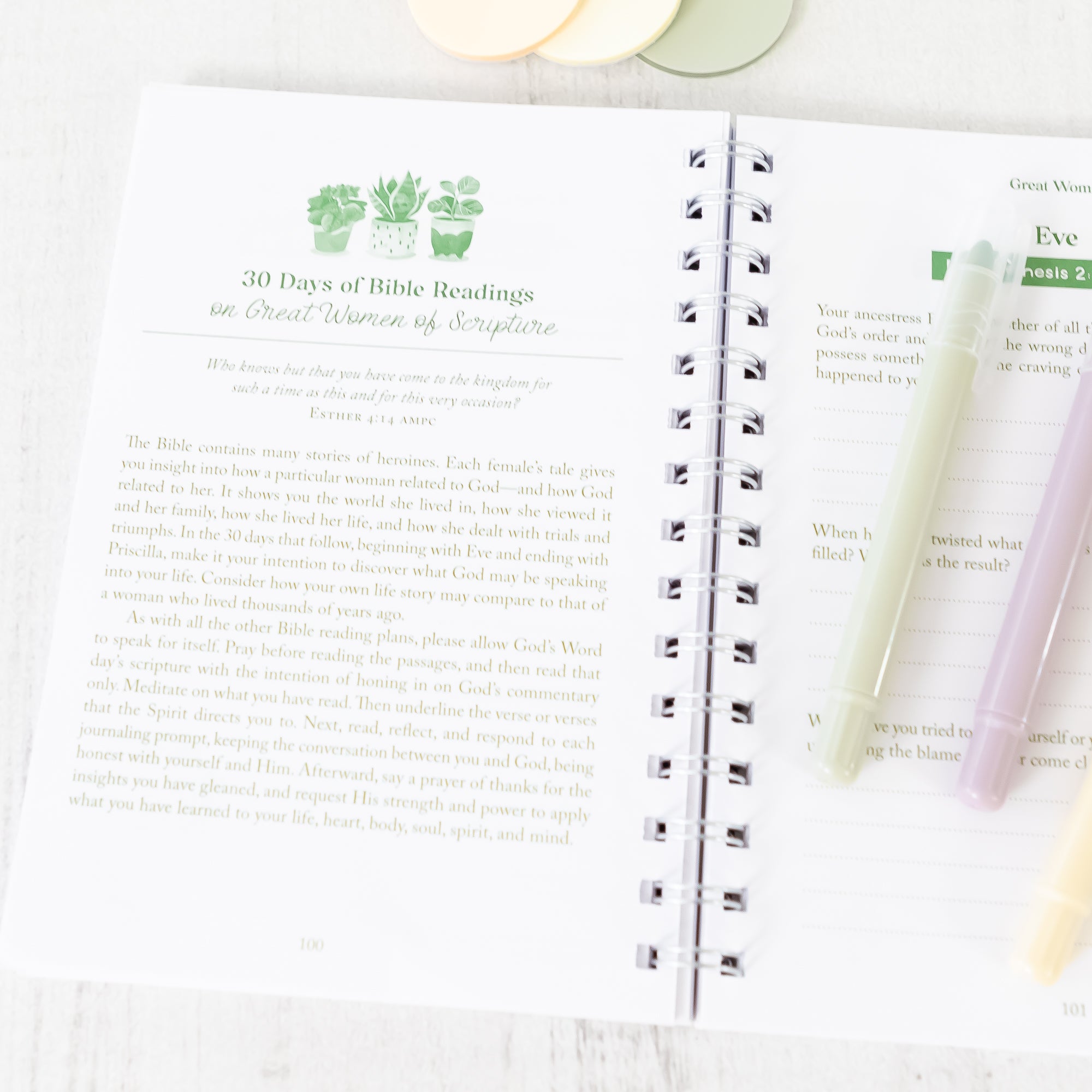 My Bible Study Journal 180 Devotional Studies for Women 