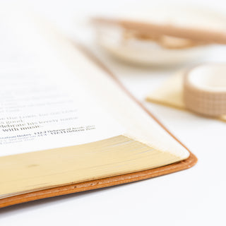 Corner Image of the Bible